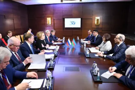 Sahibə Qafarova Rusiya Federal Məclisi Federasiya Şurasının sədri ilə görüşdü
