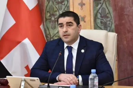 Gürcüstanın spikeri Buçaya səfər etməkdən - imtina ETDİ