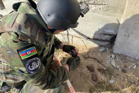 Bakıda 4 əl qumbarası tapıldı - VİDEO/FOTO