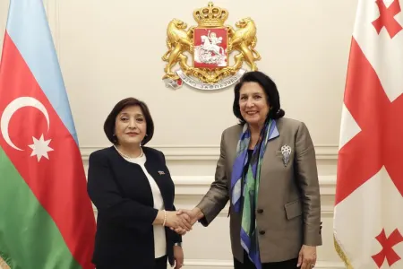 Milli Məclisin sədri Gürcüstan Prezidenti ilə görüşdü