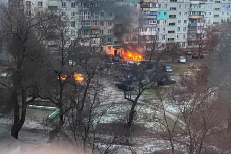 Mariupolda daha bir kütləvi məzarlıq aşkar edildi