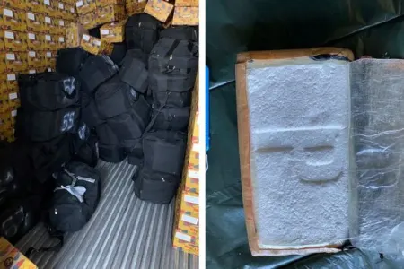 Estoniya limanında Rusiyaya göndərilən yarım milyard avroluq kokain ələ keçdi