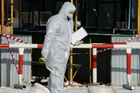Çində H3N8 virusuna ilk yoluxma qeydə alındı