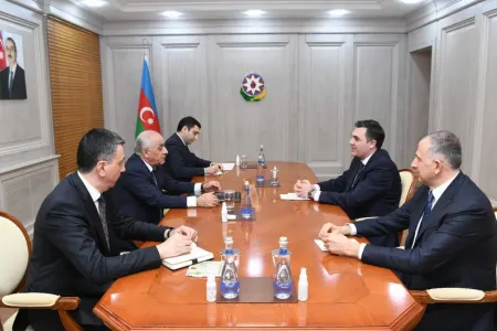 Əli Əsədov Gürcüstanın xarici işlər naziri ilə görüşdü