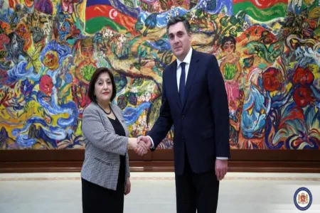 Gürcüstan XİN rəhbəri Sahibə Qafarova ilə regional təhlükəsizliyi müzakirə etdi - FOTO