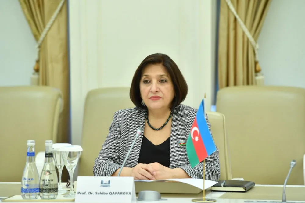 Gürcüstan XİN rəhbəri Sahibə Qafarova ilə regional təhlükəsizliyi müzakirə etdi - FOTO