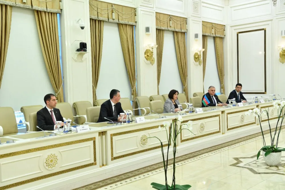 Gürcüstan XİN rəhbəri Sahibə Qafarova ilə regional təhlükəsizliyi müzakirə etdi - FOTO