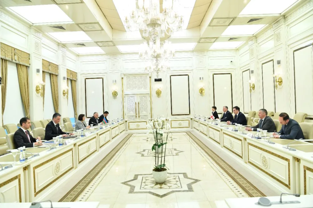 Gürcüstan XİN rəhbəri Sahibə Qafarova ilə regional təhlükəsizliyi müzakirə etdi - FOTO