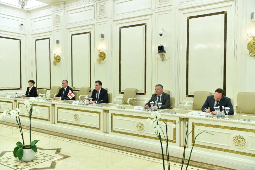 Gürcüstan XİN rəhbəri Sahibə Qafarova ilə regional təhlükəsizliyi müzakirə etdi - FOTO