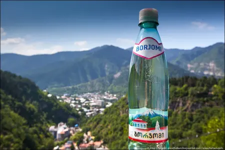 “Borjomi” fəaliyyətini dayandırır
