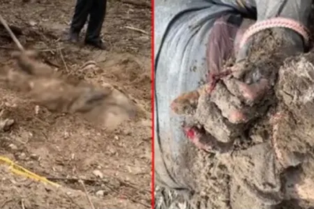 Ukraynada çəkilmiş bu görüntülər gündəm oldu - Foto