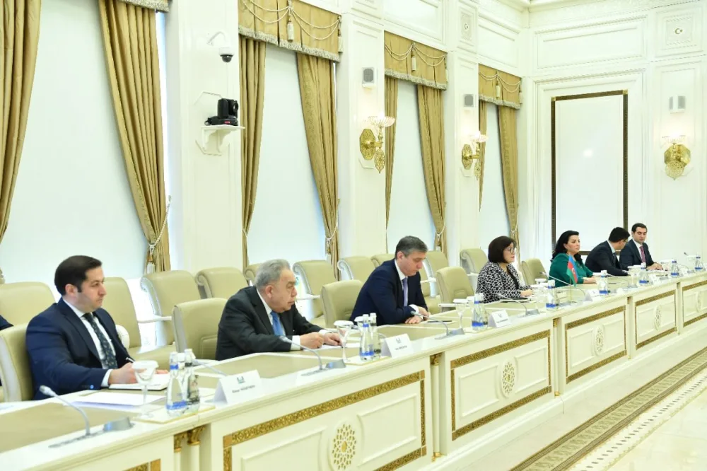 Milli Məclisin sədri Səudiyyə Ərəbistanı Krallığının Baş Audit Məhkəməsinin Prezidenti ilə görüşüb - -FOTO__NEWL__