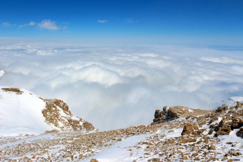 DTX əməkdaşları "Heydər zirvəsi"nə yürüş etdi - FOTO