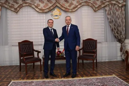 Ceyhun Bayramov Tacikistanın XİN başçısı ilə görüşdü - FOTO