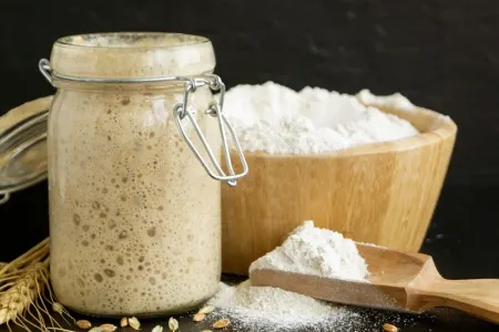 Azərbaycana gətirilən çörək mayaları gömrük rüsumundan azad edildi