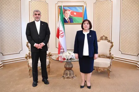 Sahibə Qafarova Əli Nikzad ilə görüşdü