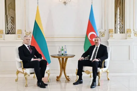 Azərbaycan və Litva prezidentlərinin görüşü oldu - FOTO - YENİLƏNİB