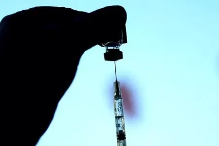 Almaniya meymun çiçəyinə qarşı tədbir görür: - 40 min doza peyvənd ehtiyatı var