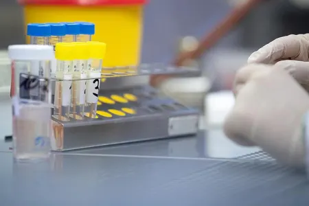 Meymunçiçəyi Finlandiyada da - aşkar olundu