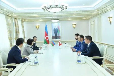 Sahibə Qafarova Kanada Parlamentinin üzvləri ilə görüşdü