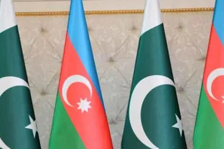 Pakistan XİN Azərbaycanı təbrik edib