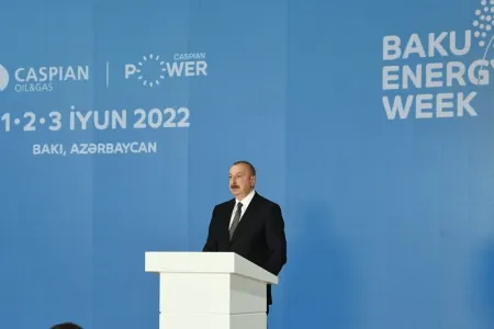 "Şaxələndirmə enerji təhlükəsizliyinin ən vacib amillərindən biridir" - İlham Əliyev
