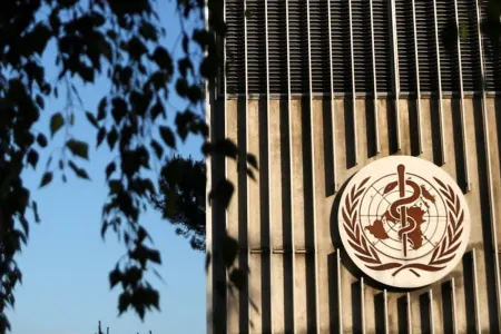 ÜST: Tütün istehsalına görə hər il 600 milyon ağac kəsilir