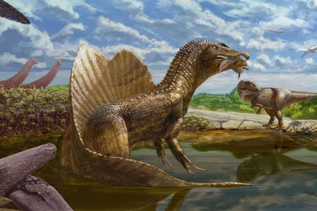 Misirdə qolsuz dinozavrların fosilləri tapıldı