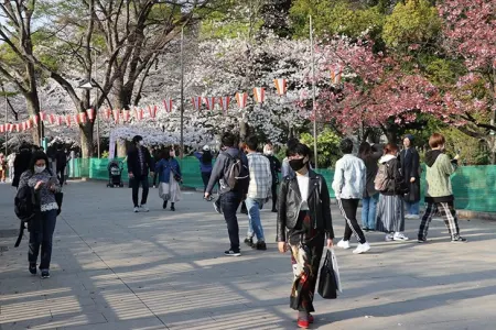 Yaponiya 2 ildən sonra xarici turistləri qəbul etdi