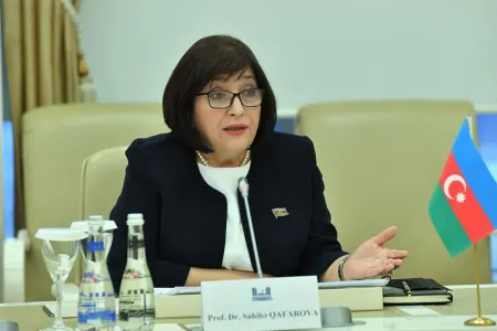 Milli Məclisin sədri BMT Baş Assambleyasının prezidenti ilə görüşdü