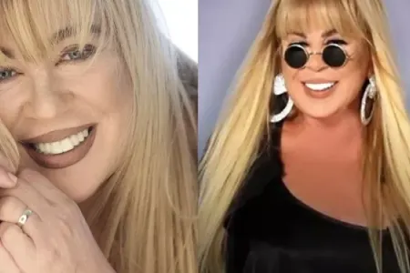 Zerrin Özer sənətdən getdi