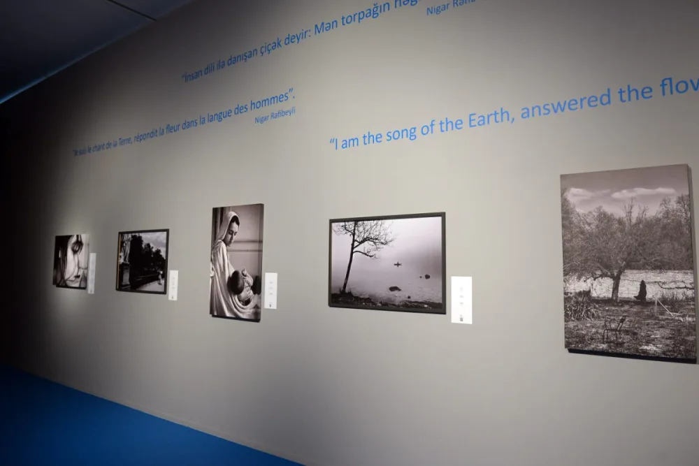 Heydər Əliyev Mərkəzində “Rezanın daxili Odisseyası” adlı fotosərgi açılıb - FOTO