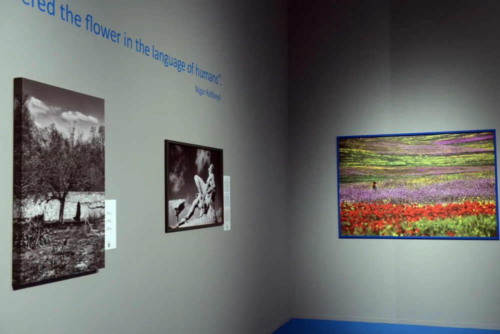 Heydər Əliyev Mərkəzində “Rezanın daxili Odisseyası” adlı fotosərgi açılıb - FOTO