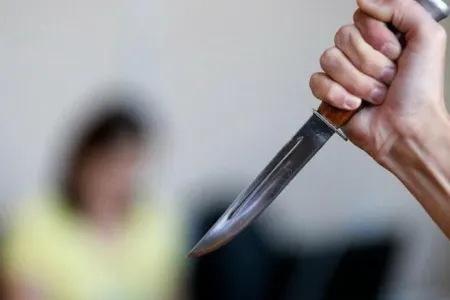 Şəmkirdə dəhşətli qətl: Hamilə arvadını və azyaşlı qızını öldürdü - -FOTO