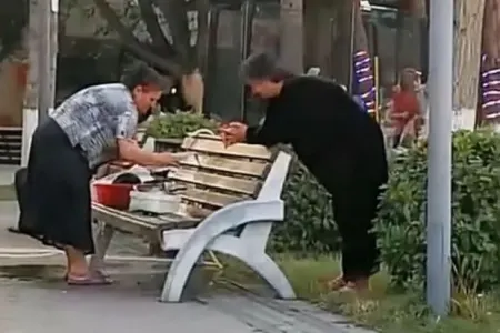 Qadın şəhərin mərkəzindəki parkda qab yudu - -VİDEO