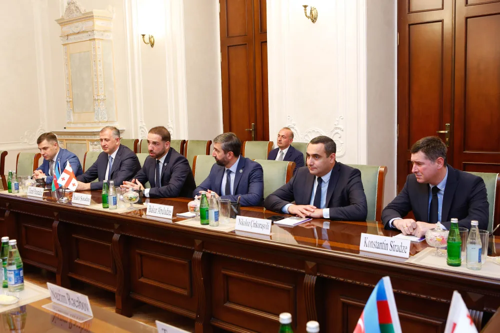 Kamran Əliyev Gürcüstanın Baş prokuroru ilə görüşdü - FOTO