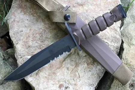 Müharibə vaxtı cəbhəyə yardım aparan şəxs gətirdiyi süngü ilə cinayət törətdi