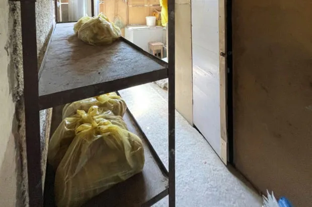 Bakıda çörək istehsalı müəssisəsinin fəaliyyəti dayandırıldı - -FOTO