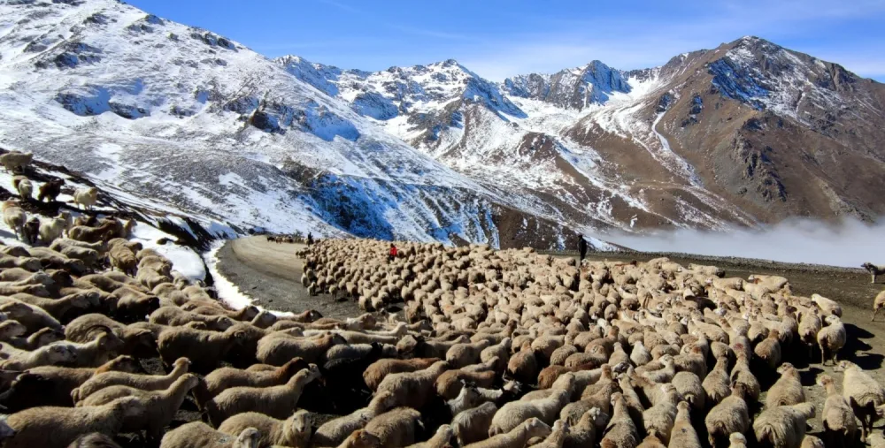 Azərbaycanda “İlin Press Fotosu” seçildi