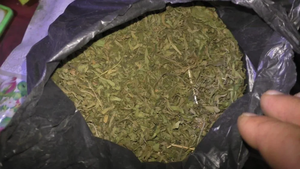 Kafedə narkotik gizlədən Zaqatala sakini saxlanılıb