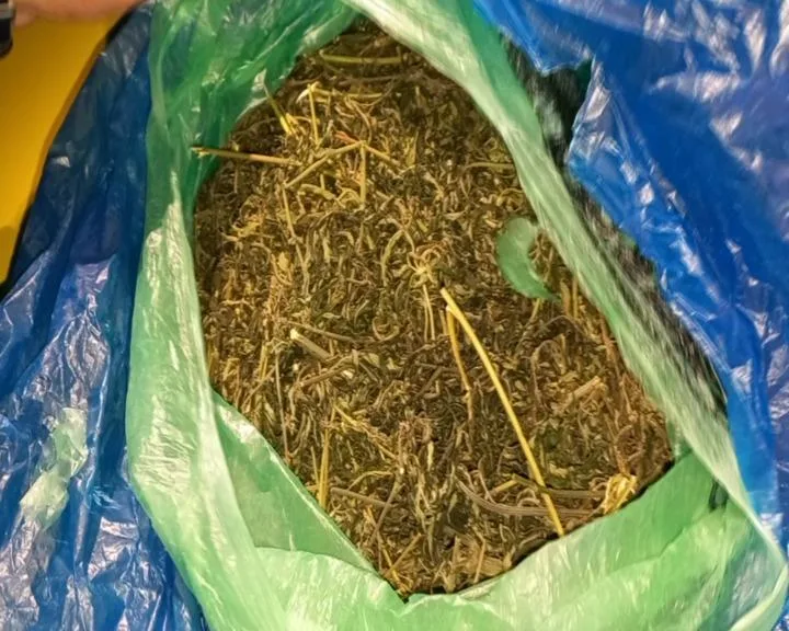 Qaxda narkotik dövriyyəsinə görə - 5 nəfər tutuldu - FOTO