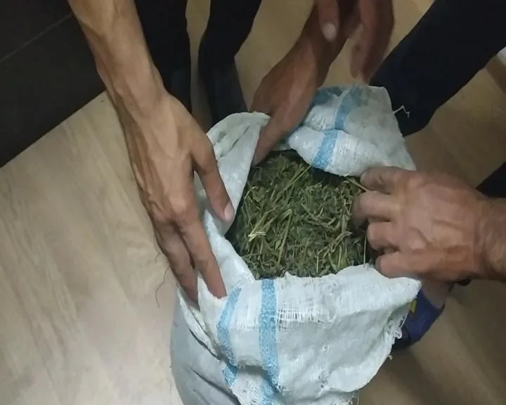 Qaxda narkotik dövriyyəsinə görə - 5 nəfər tutuldu - FOTO