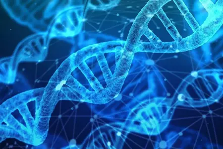 DNT-dən bioloji silah üçün istifadə edəcəklər
