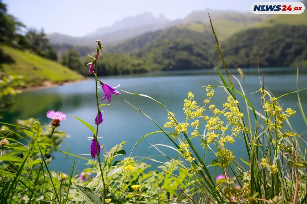 Başımın üstü Kəpəz, ayağımın altı Göygöl- "Azərbaycanın mirvarisi"ndən - FOTOREPORTAJ