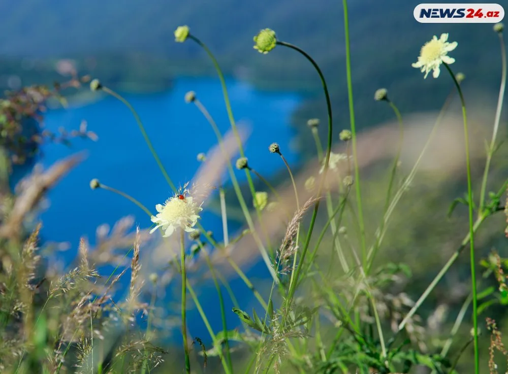 Başımın üstü Kəpəz, ayağımın altı Göygöl- "Azərbaycanın mirvarisi"ndən - FOTOREPORTAJ