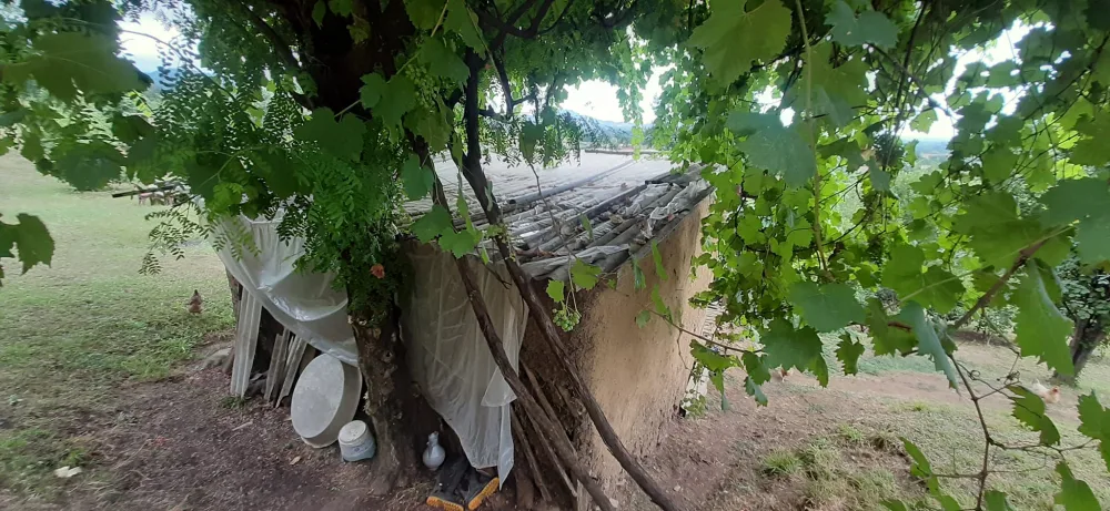 Şəraitsiz evdə yaşayan 3 medallı qazi ilə bağlı - Rəsmi açıqlama-FOTO