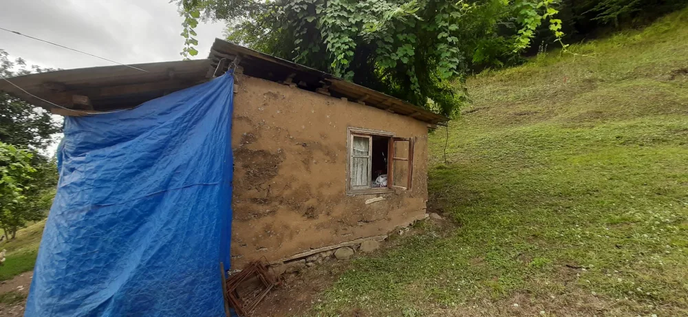 Şəraitsiz evdə yaşayan 3 medallı qazi ilə bağlı - Rəsmi açıqlama-FOTO
