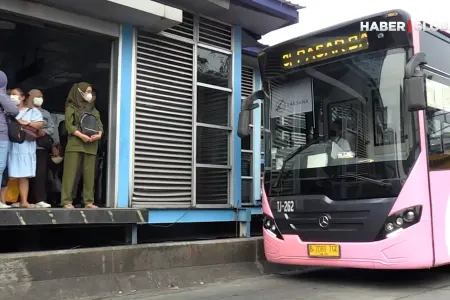 Qadınlar üçün çəhrayı avtobuslar istifadəyə verildi