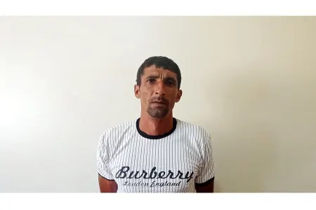 Şirvan şəhər sakininin həyətindən çətənə bitkiləri aşkarlandı