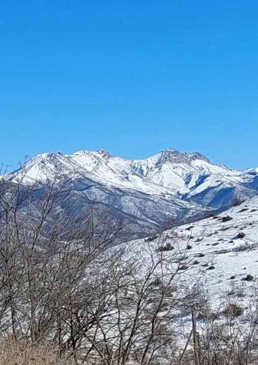Ordumuzun nəzarətə götürdüyü Sarıbaba dağı - FOTO